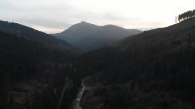 Hava atış dağlara bakan. Birçok firs orman