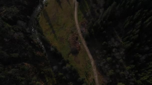 Vue Aérienne Surplombant Les Montagnes Forêt Nombreux Sapins — Video