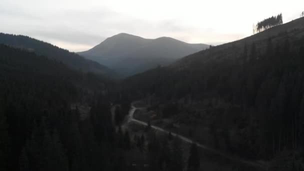 Aerial Shot Overlooking Mountains Forest Many Firs — Stock Video