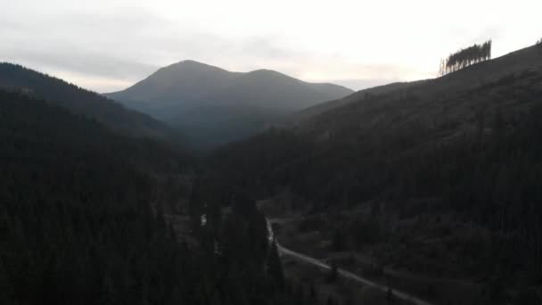 Aerial Shot Overlooking Mountains Forest Many Firs — Stock Video