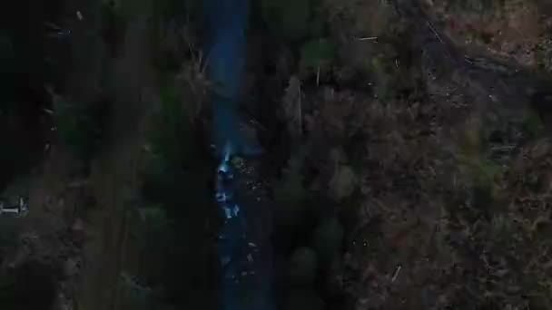 Tiro Aéreo Com Vista Para Montanhas Floresta Muitos Abetos — Vídeo de Stock