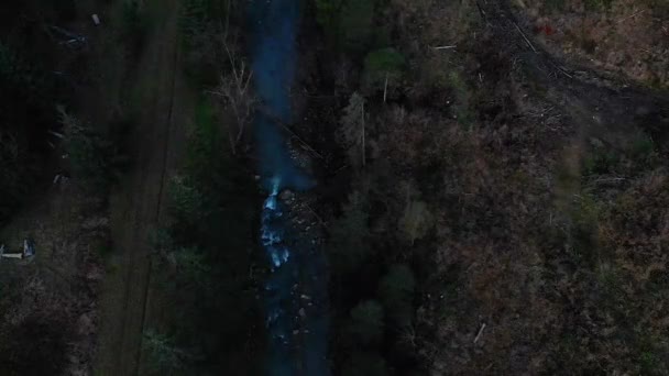 Disparo Aéreo Con Vistas Las Montañas Bosque Muchos Abetos — Vídeos de Stock