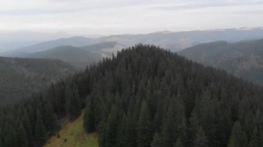 Hava atış dağlara bakan. Birçok firs orman   