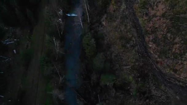 Antenn Skott Med Utsikt Över Bergen Skog Många Granar — Stockvideo