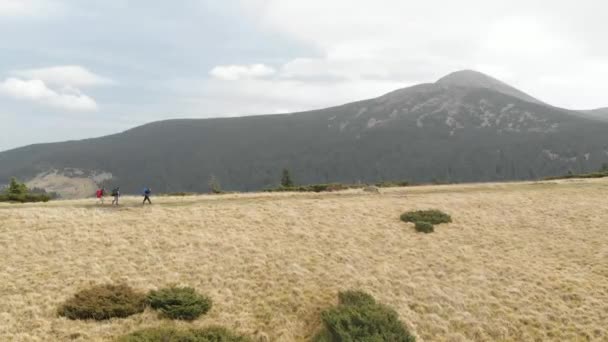 Disparo Aéreo Con Vistas Las Montañas Bosque Muchos Abetos — Vídeo de stock