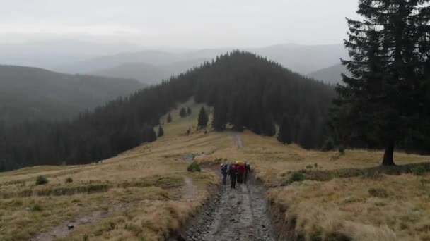 Disparo Aéreo Con Vistas Las Montañas Bosque Muchos Abetos — Vídeo de stock