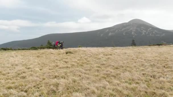 Disparo Aéreo Con Vistas Las Montañas Bosque Muchos Abetos — Vídeo de stock