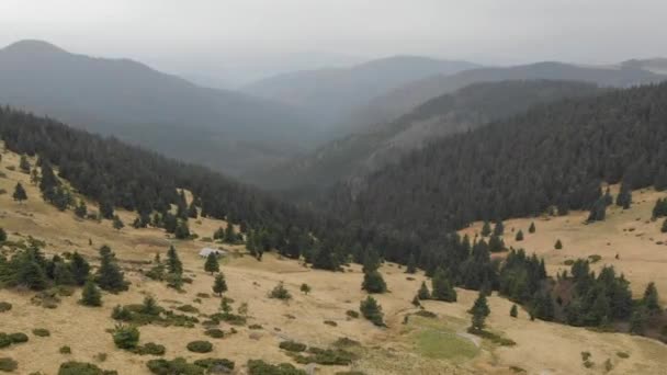 Luftaufnahme Mit Blick Auf Die Berge Wald Viele Tannen — Stockvideo