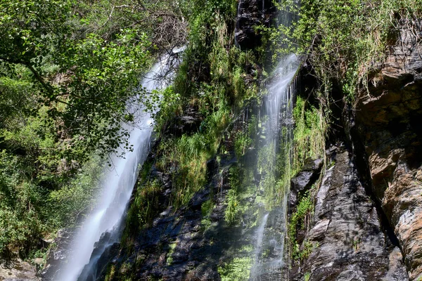 緑豊かな森の中の滝と川 — ストック写真