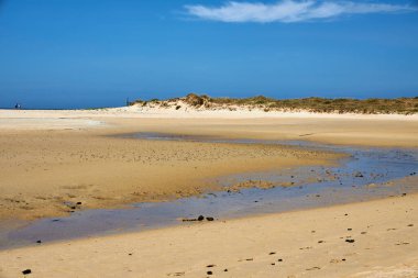 Çevre koruma alanında büyük kum tepeleri olan bir sahil.