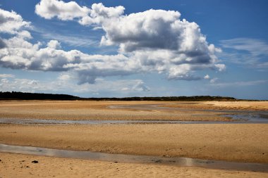 Sahil, koruma altındaki bir çevredeki bir gölden gelen suyla dolu.