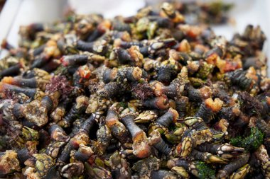 İspanyol pazarında midyeli tepsi