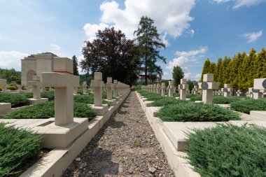 Lviv Savunucuları Mezarlığı