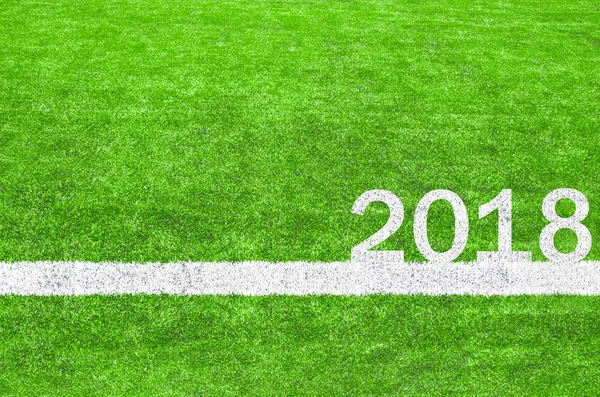 2018 White Stripe Green Soccer Field — Stock Photo, Image