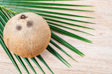 Metin veya ileti için boş alan ile ahşap arka plan üzerinde yaprak yeşil Hindistan cevizi Hindistan cevizi.