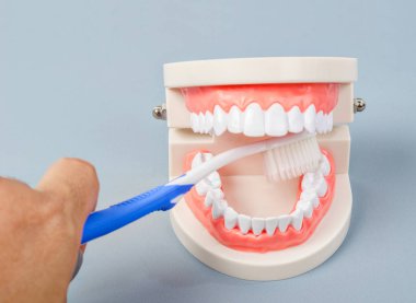 Gri arka plan üzerinde Medel diş temizleme fırçası öğretim tutan el