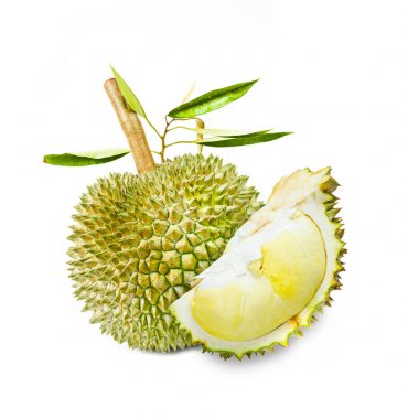 durian meyve ve yeşil yaprakları.