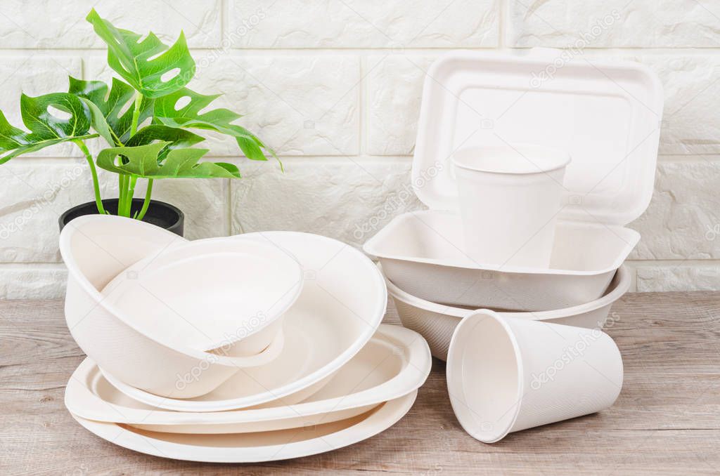 Eco-friendly biodegradable paper dishes and glass.