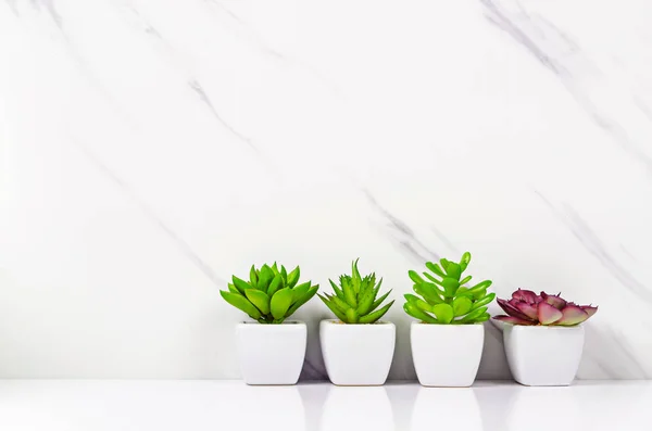 Mesa superior papel de parede de mármore vazio com planta verde.. — Fotografia de Stock