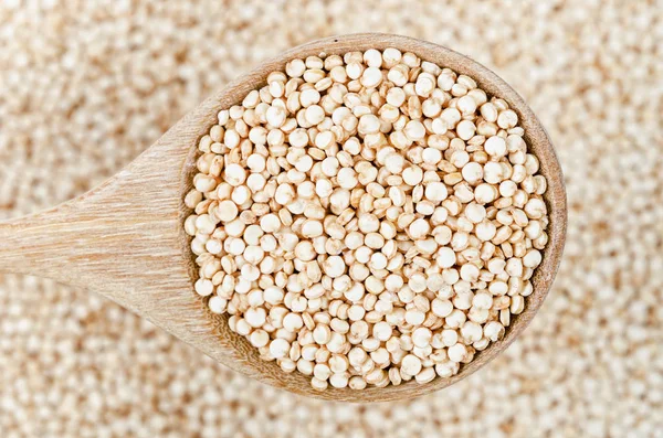 Rohe Quinoa-Samen im Holzlöffel. — Stockfoto