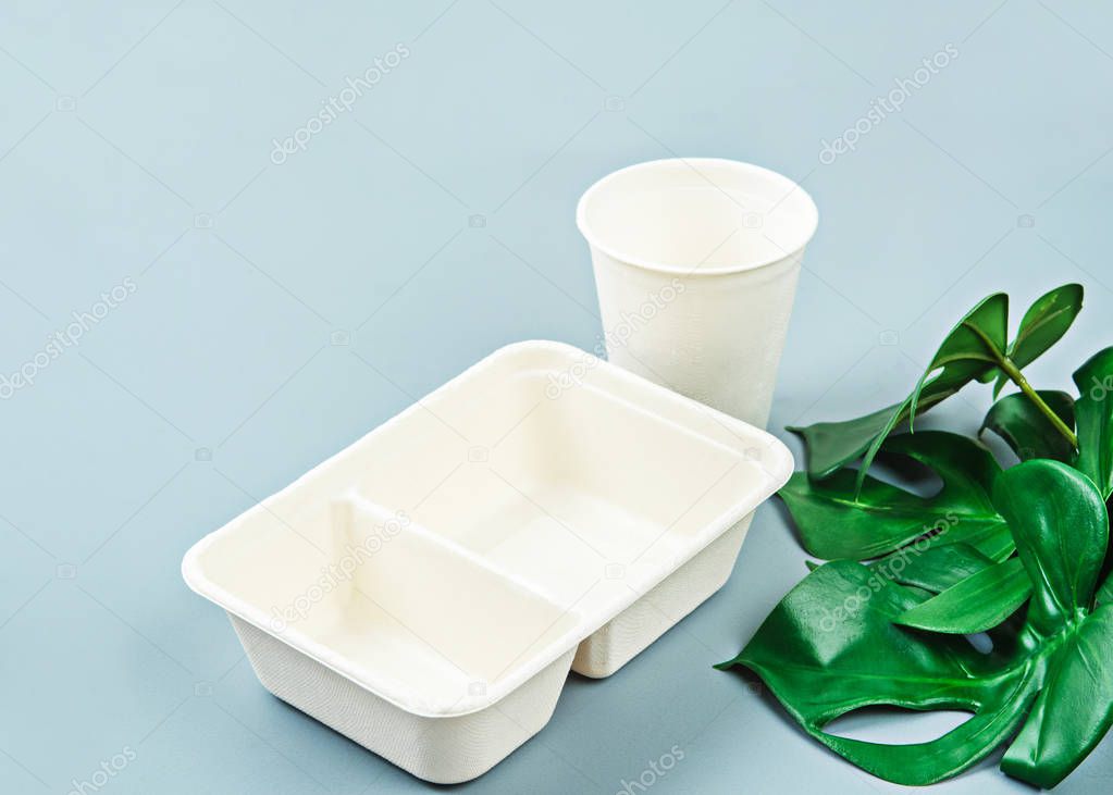 Unbleached plant fiber food box and paper cup with green leaves.