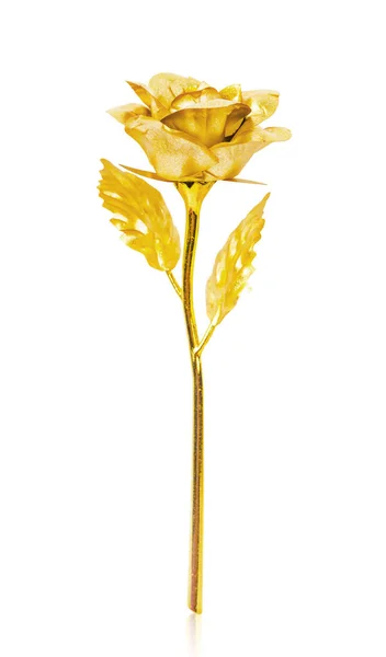 Zlatá růže izolované na pozadí. — Stock fotografie