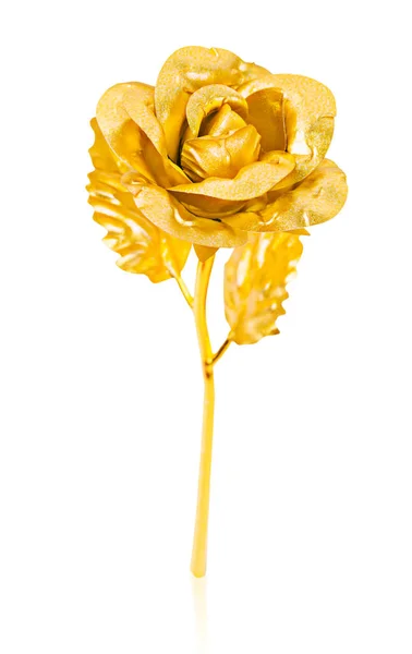Rosa dorada aislada sobre fondo wite . —  Fotos de Stock