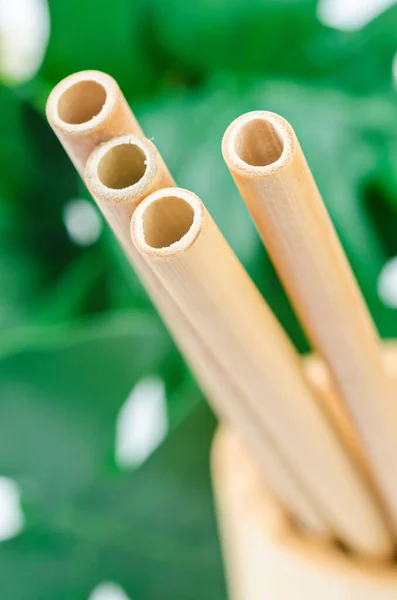 Feche Palhas Bambu Com Folha Verde Conceito Ecológico Produto Verde — Fotografia de Stock