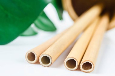 Yeşil yapraklı bambu pipetlerini kapatın. Yeşil ürün çevre dostu konsept.