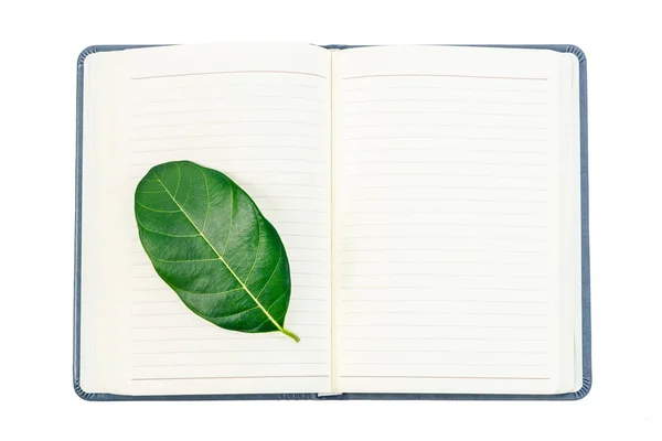 Fresh Green Leaf Open Blank Notebook Isolated White Background Clipping — Stock Photo, Image