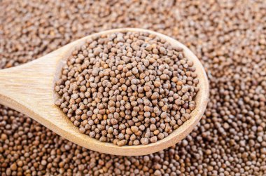 Ahşap kaşıkta Perilla bitkisi tohumları.