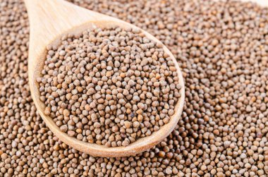 Ahşap kaşıkta Perilla bitkisi tohumları.