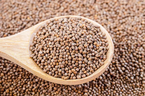 Ahşap kaşıkta Perilla bitkisi tohumları.