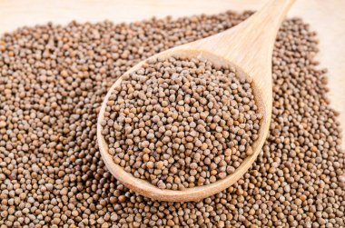 Ahşap kaşıkta Perilla bitkisi tohumları.