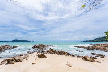 Yaz tatili ve yaz mevsiminde tropik plajlarda güzel yapraklar çerçeveli ağaçlar konsepti