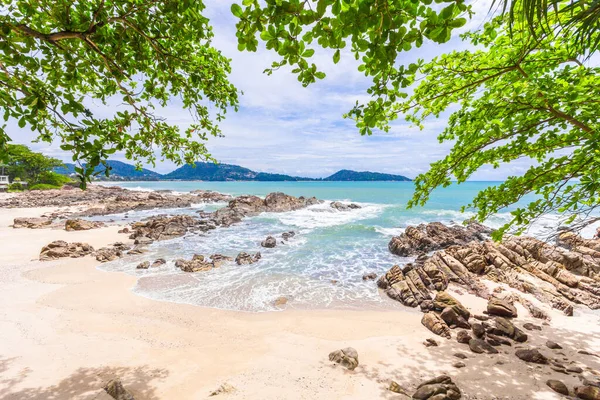 Sommerurlaub Und Urlaub Hintergrundkonzept Der Schönen Blätter Rahmen Bäume Tropischen — Stockfoto