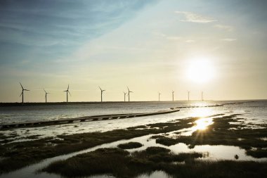 Taichung Tayvan güzel bir sulak