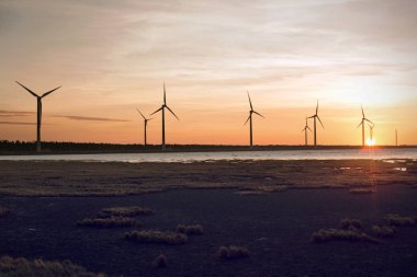 Taichung Tayvan güzel bir sulak