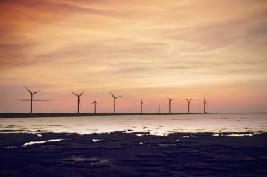 Taichung Tayvan güzel bir sulak