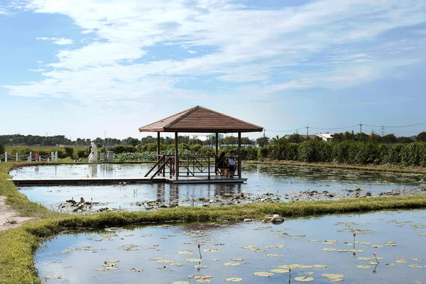 Güzel bir gün ülke yard Tayvan