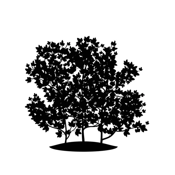 Buisson Silhouette Avec Feuilles Ombre Sur Fond Blanc — Image vectorielle