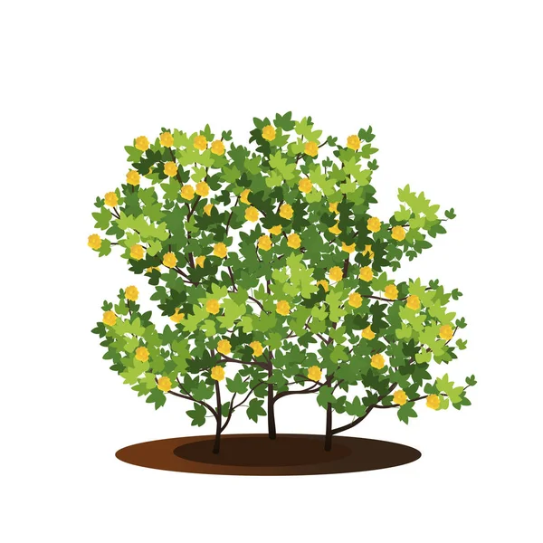 Planta Algodón Con Hojas Verdes Flores Amarillas — Vector de stock