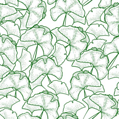 kroki ginkgo biloba ağacı dalı beyaz arka plan üzerinde ile Seamless modeli