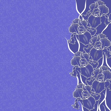 Beyaz dantel çerçeve gölge