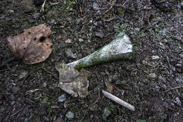 Gamla Vita Ben Marken — Stockfoto