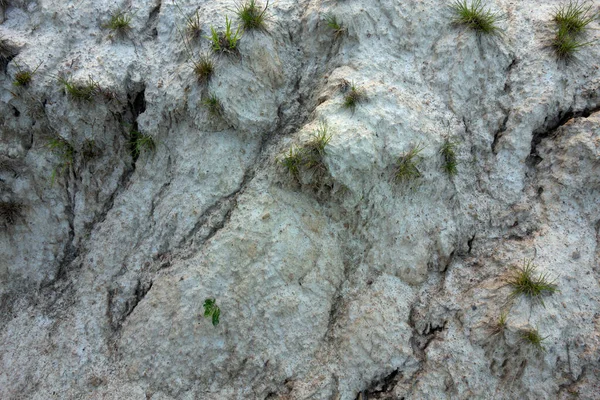 Argile Sèche Avec Fissures Dans Sol — Photo