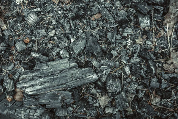 Texture of burnt black wood on the ground, charcoal