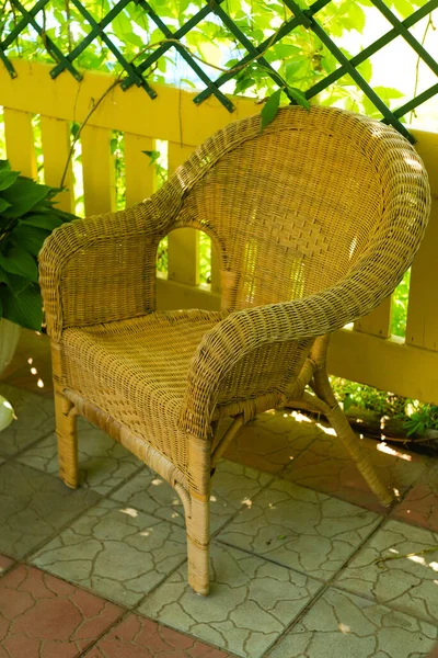 Rattan Židle Zahradě Pod Baldachýnem Létě — Stock fotografie