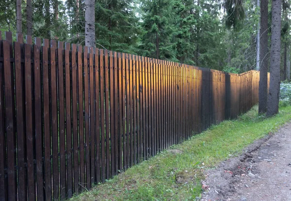 Brown wooden fence in the forest