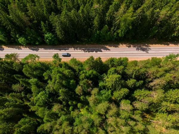 Carro Está Dirigindo Uma Estrada Asfalto Entre Uma Floresta Verde — Fotografia de Stock